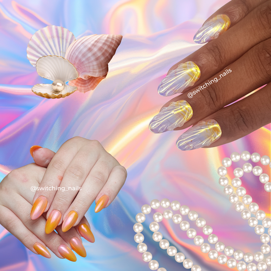 Shiny seashell